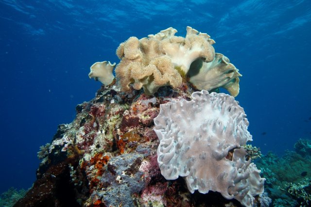 bali_44_2012